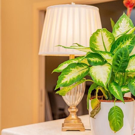 Hotel Regina Elena オルビア エクステリア 写真
